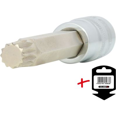 1/2 Innenvielzahn M12