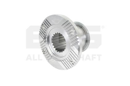 Antriebsflansch, Gelenkwelle