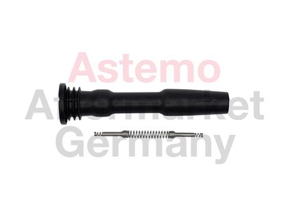 Stecker, Zündspule