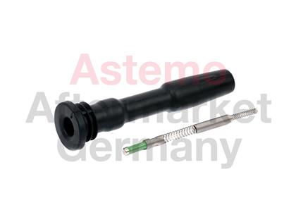 Stecker, Zündspule