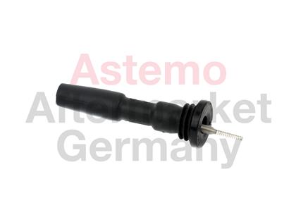 Stecker, Zündspule