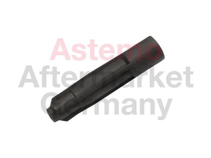 Stecker, Zündkerze