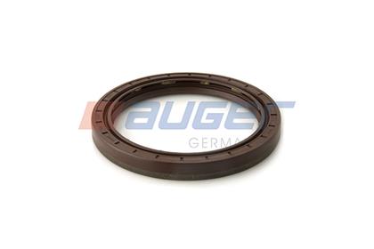 Wellendichtring, Radnabe