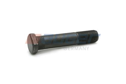 Radbolzen
