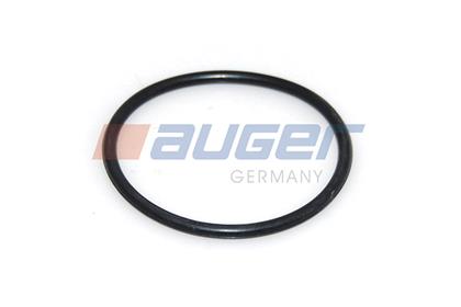 Dichtung, Thermostat