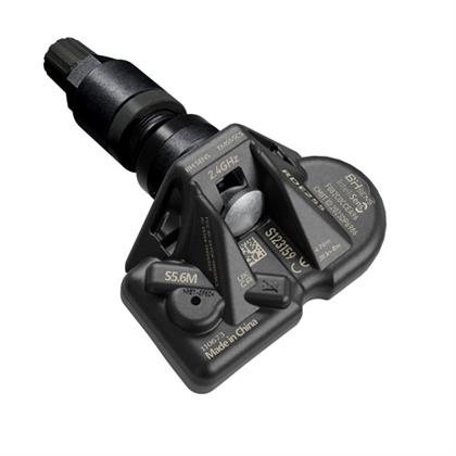 Radsensor, Reifendruck-Kontrollsystem