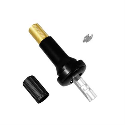 Reparatursatz, Radsensor (Reifendruck-Kontrollsys.)