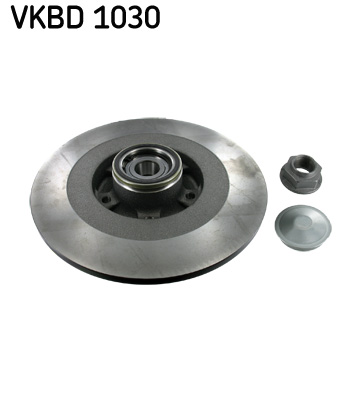 Bremsscheibe hinten Renault