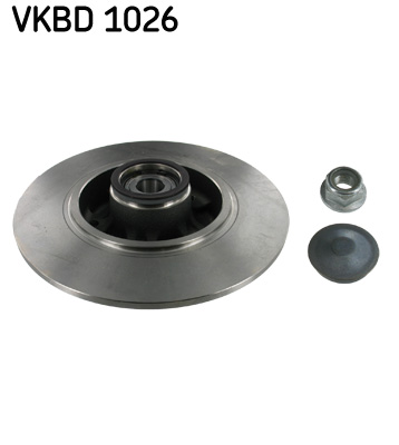 Bremsscheibe hinten Renault