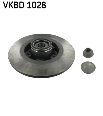 Bremsscheibe hinten Renault