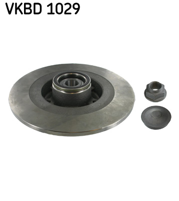 Bremsscheibe hinten Renault