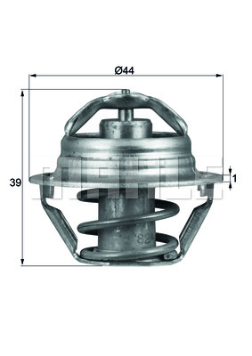 Thermostat, Kühlmittel