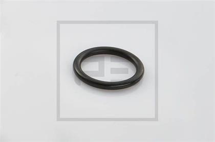 Dichtring