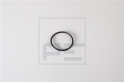 Dichtring