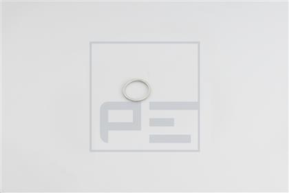Dichtring