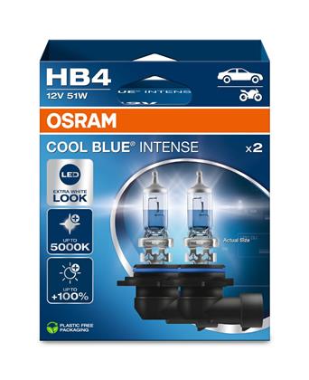 Lampe HB4 12V 51W