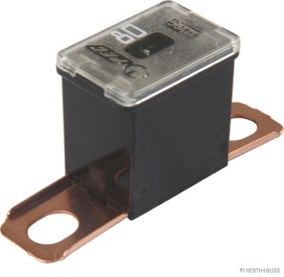 Blocksicherung PAL-CS  80 A