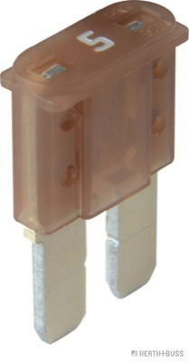 Sicherung Micro2 5A