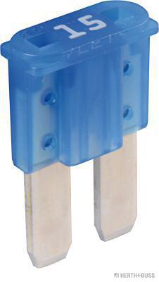Sicherung Micro2  15A
