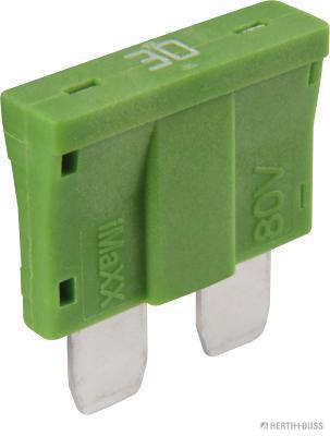 Sicherung für Elektrofahrzeuge  30 A