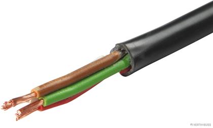 Elektroleitung