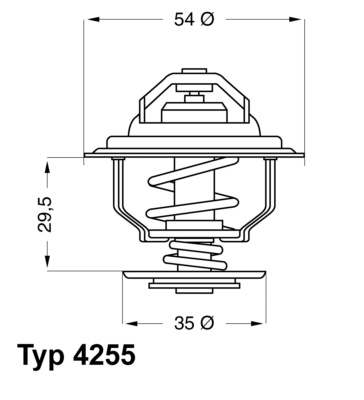 Thermostat, Kühlmittel