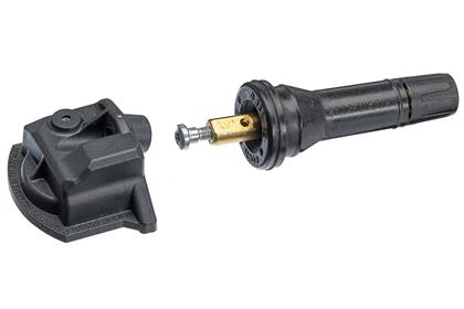 Radsensor, Reifendruck-Kontrollsystem