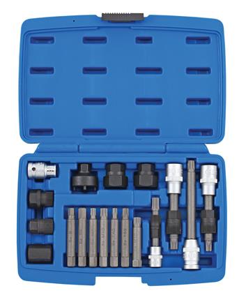 Set, Schraubendreher-Einsatz (Bits)