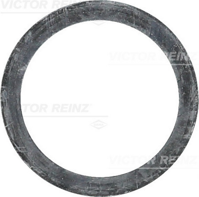 Dichtring