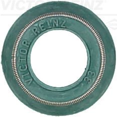 Dichtring Ventilschaft