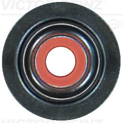 Dichtring