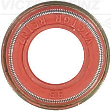 Dichtring, Ventilschaft