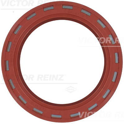 Wellendichtring Nockenwelle