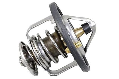 Thermostat, Kühlmittel