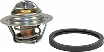 Thermostat, Kühlmittel