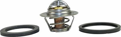 Thermostat, Kühlmittel