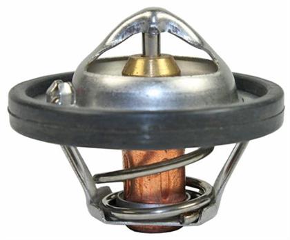 Thermostat, Kühlmittel