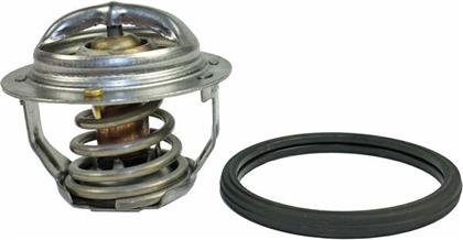 Thermostat, Kühlmittel