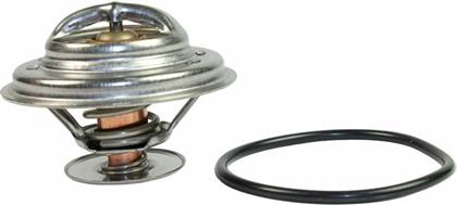 Thermostat, Kühlmittel