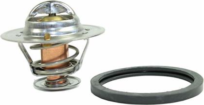 Thermostat, Kühlmittel