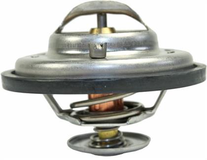 Thermostat, Kühlmittel