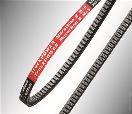 Keilriemen AVP13x2050TM