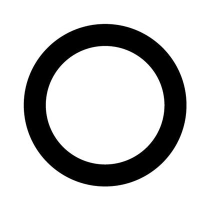 O-Ring