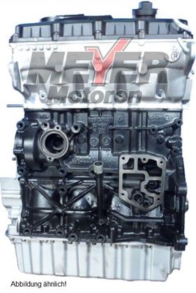 Rumpfmotor