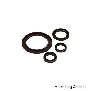 Wellendichtringsatz, Motor