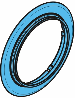 Dichtring