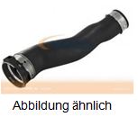Ladeluftschlauch