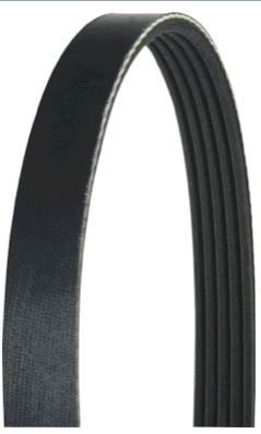 Keilrippenriemen 3PK751SF
