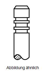 Einlassventil