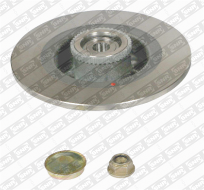 Bremsscheibe hinten Renault